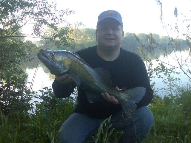 --�������� ����� �� 6 ��. - ������� (����������)