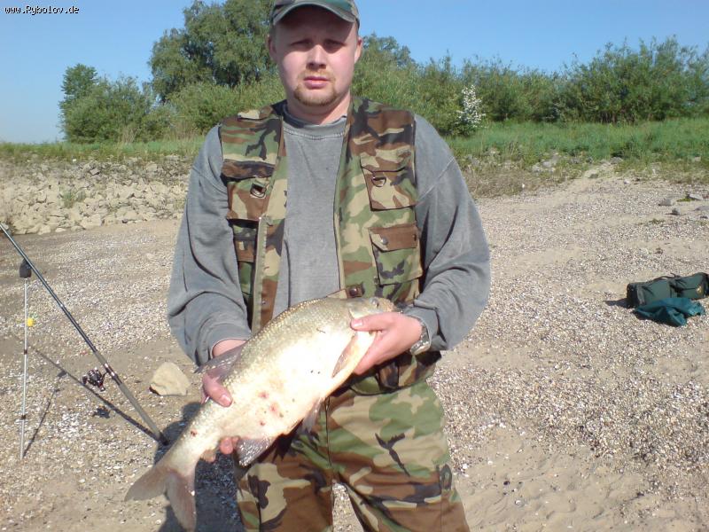 --Rhein - ������� (����������)