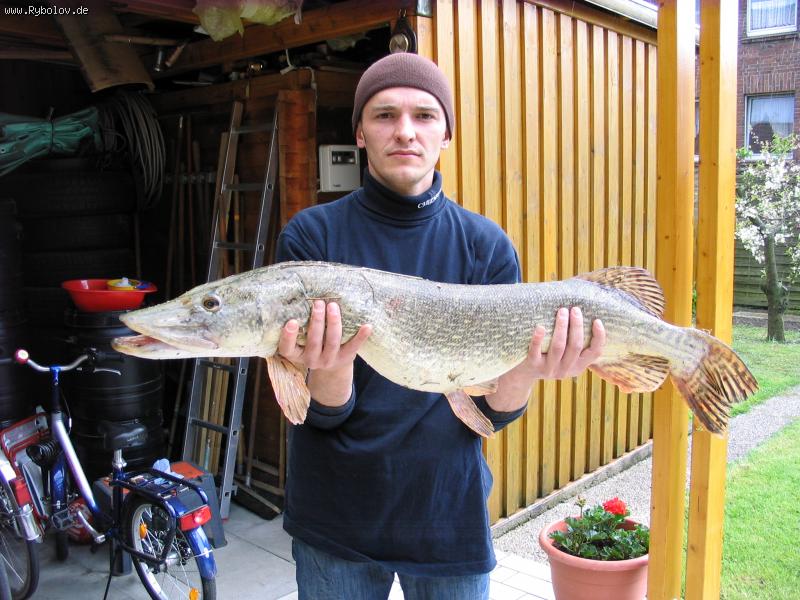 --������ ����� 2008! "����" - ������� (����������)