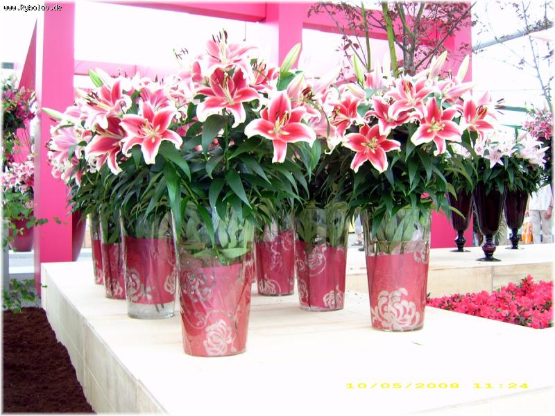 --��������.... - ������� (����������)