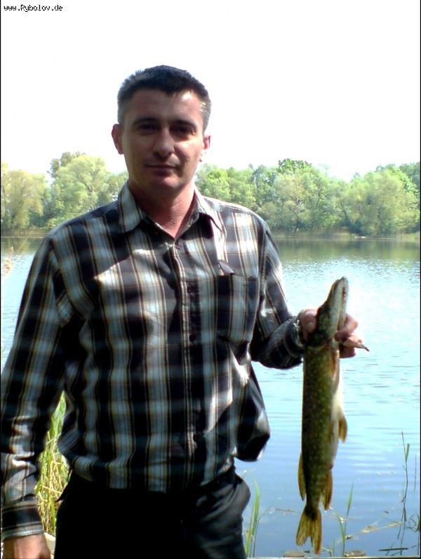 --Mitenwalde - ������� (����������)