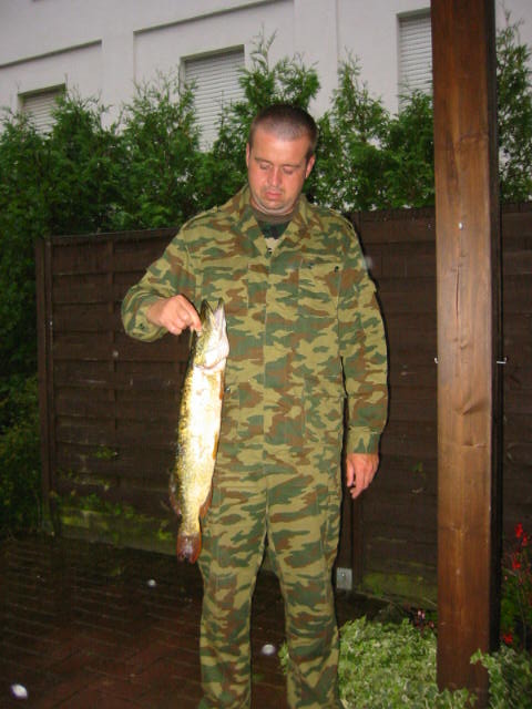 --Sorpesee - ������� (����������)