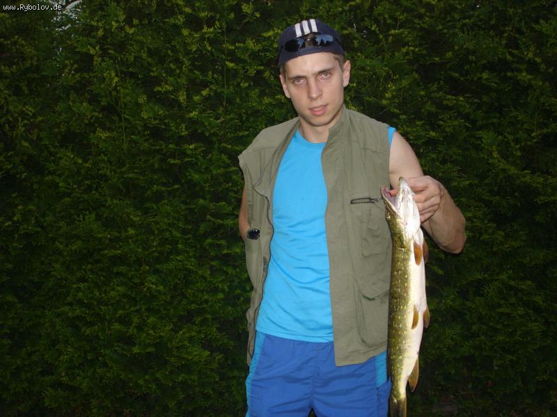 --��� ����� 82 �� ������� �� �������� ��. 1 !!! - ������� (����������)