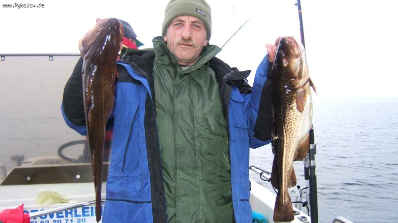 --������ - ������� (����������)