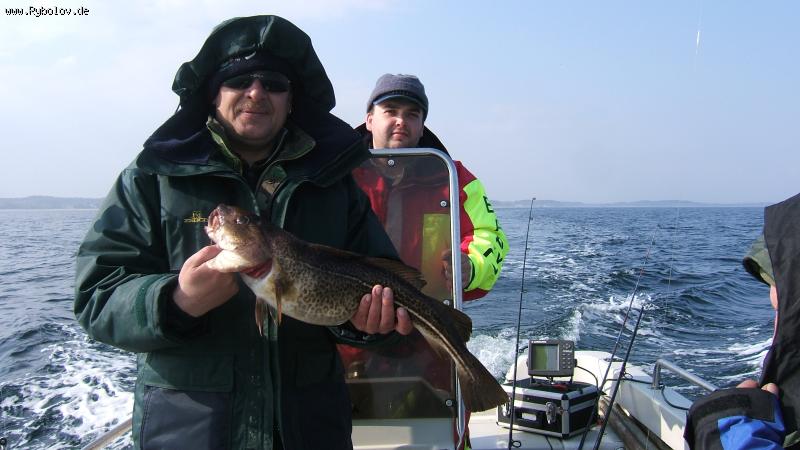 --������ - ������� (����������)