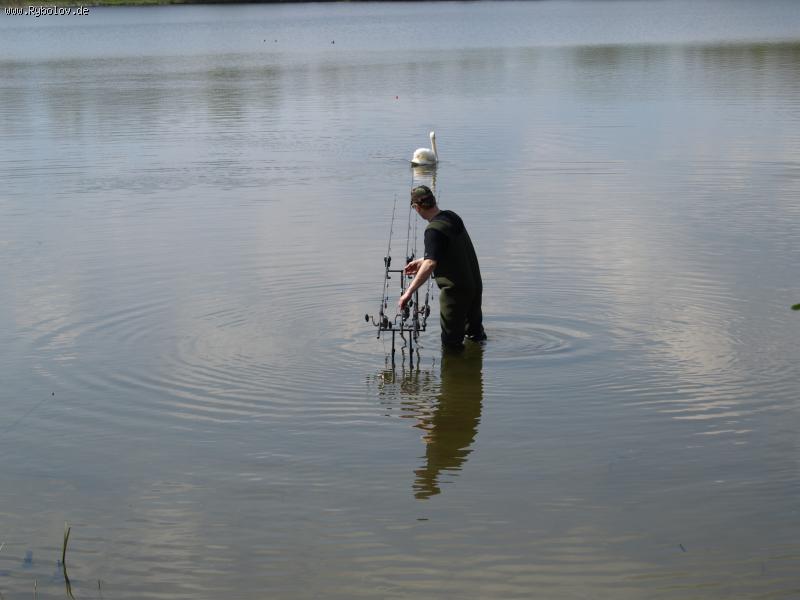 --Sander see - ������� (����������)