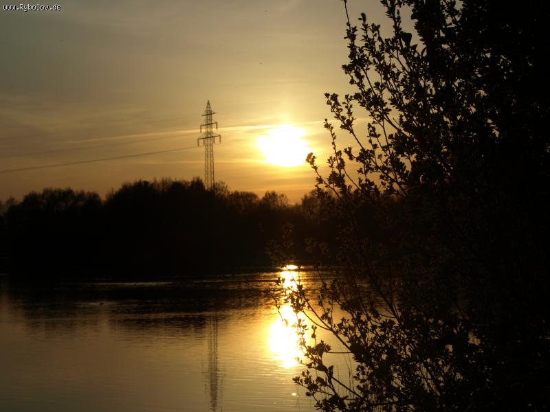 --Sander see  -  ()