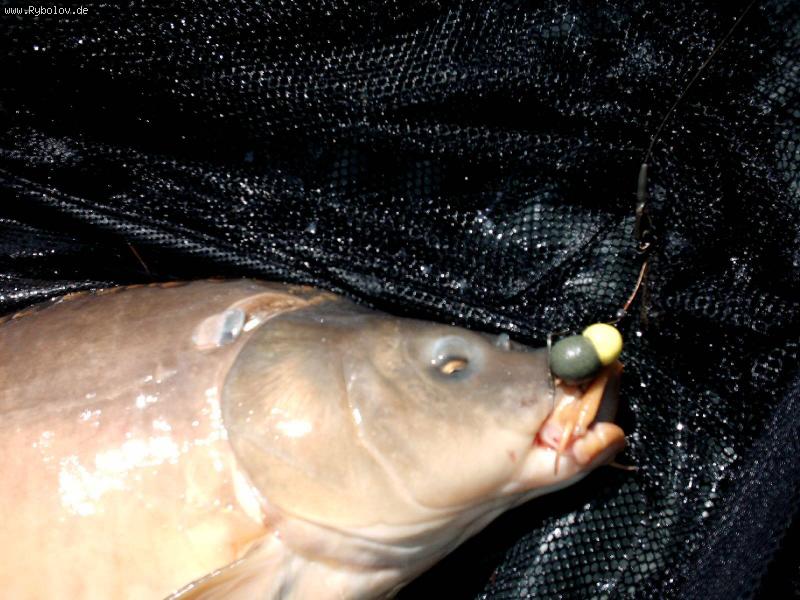 -- Pop-ups v kombinacii - ������� (����������)