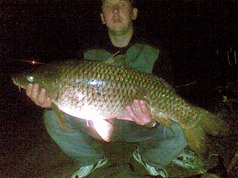 --����� ����� 9�� ���� - ������� (����������)