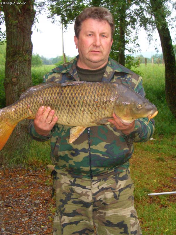 --����� 12 ��. - ������� (����������)