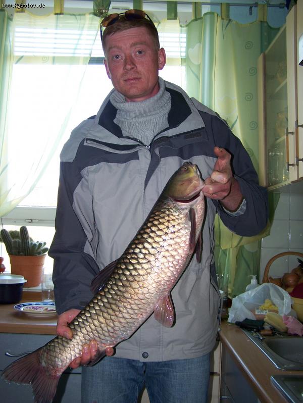 --���� - ������� (����������)