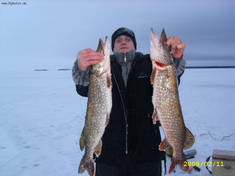 --���� �� ����� - ������� (����������)