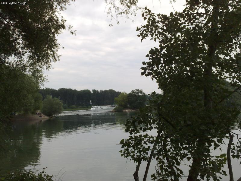 --Speyer,Rhein-Altrhein -  ()