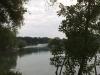 Speyer,Rhein-Altrhein - рыбалка (фотоальбом)