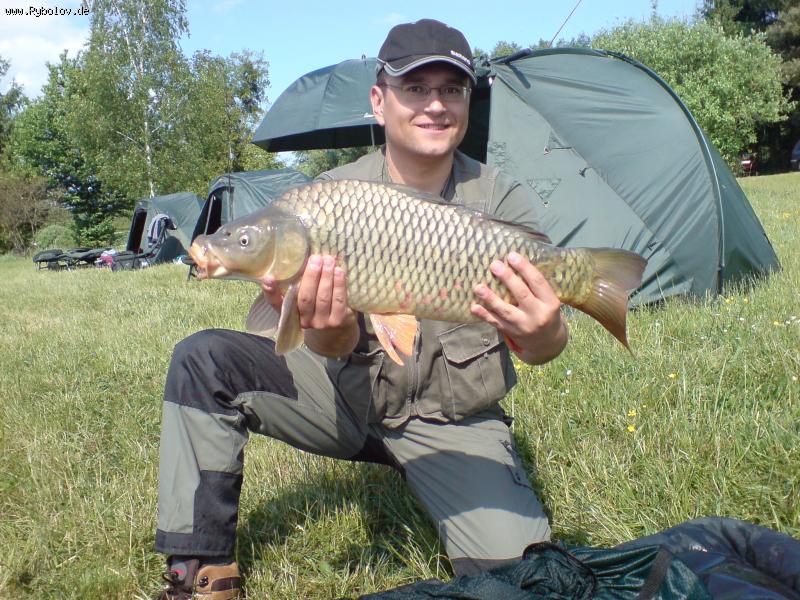 --karpusha - ������� (����������)