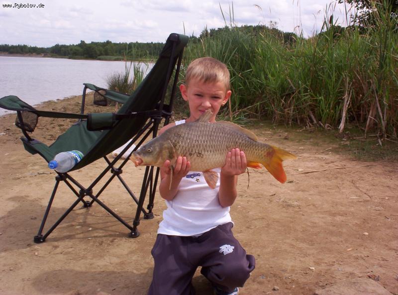 --Nikita - ������� (����������)