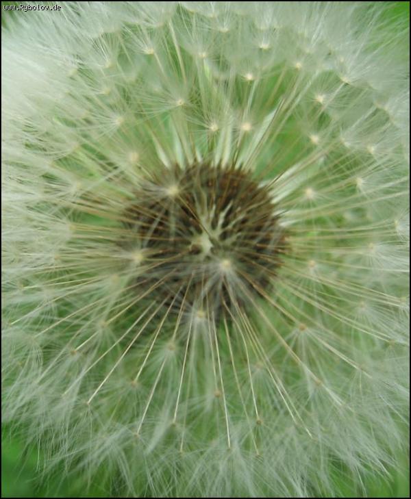 --��������� ����. - ������� (����������)