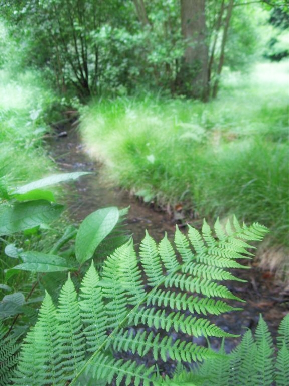 --�����. - ������� (����������)