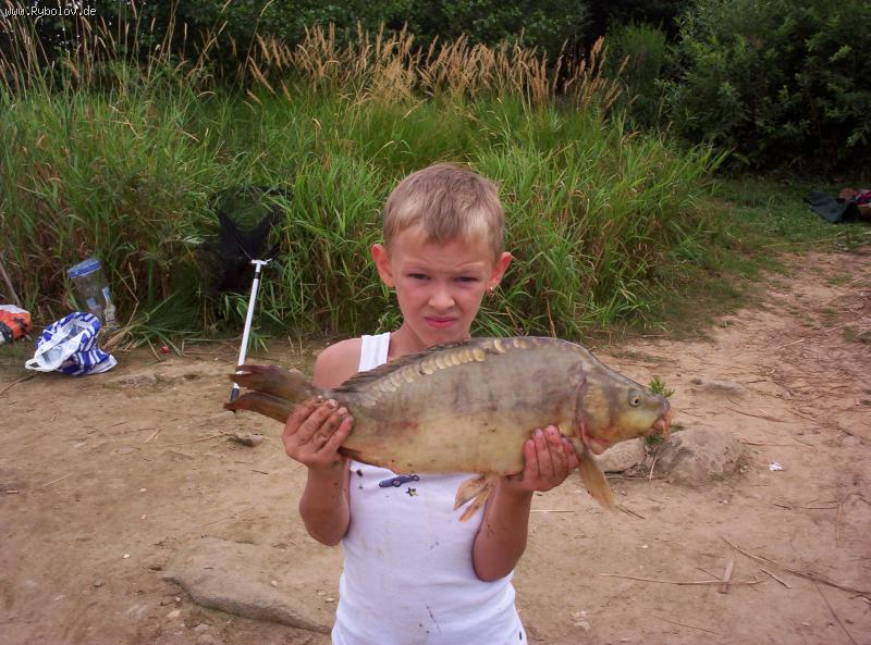 --Nikita 2 - ������� (����������)