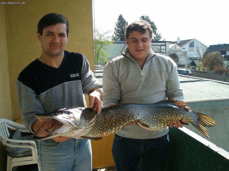 --���� - ������� (����������)