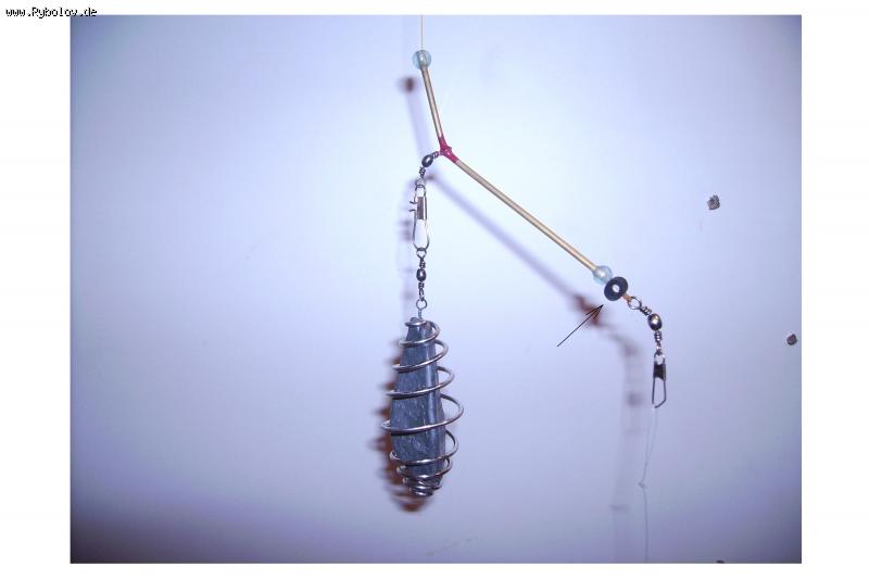 --����������� ��� ��������������������. - ������� (����������)