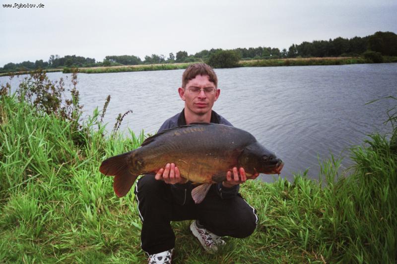 --���� - ������� (����������)