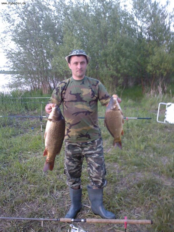 --Karpfen -  ()