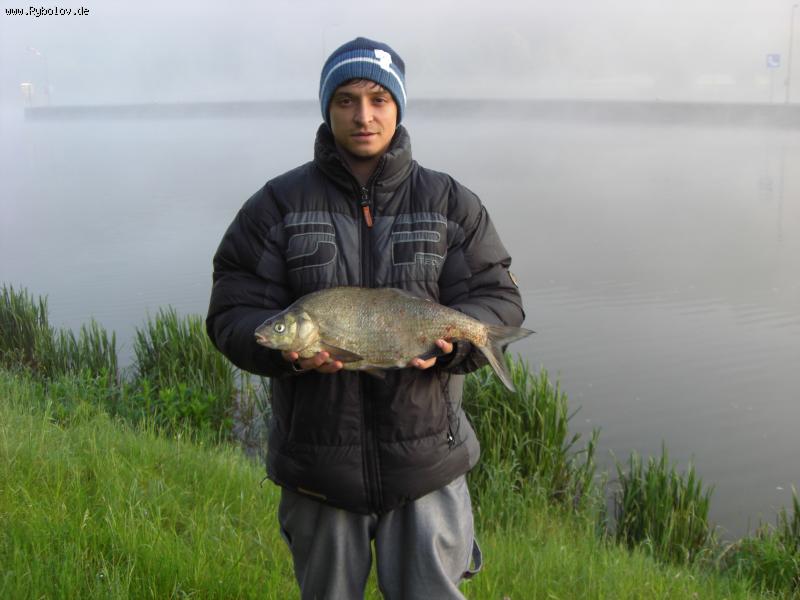 --����� - ������� (����������)