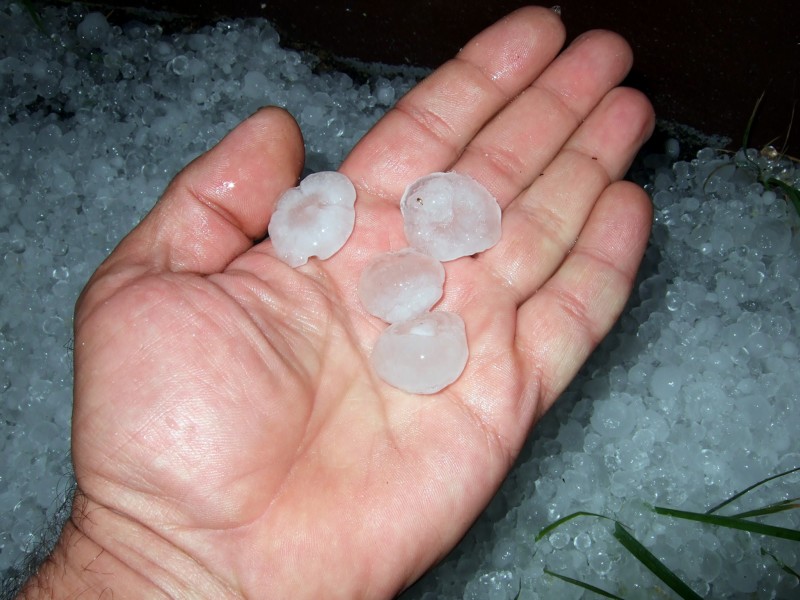 --Вечерняя гроза с подарками - рыбалка (фотоальбом)