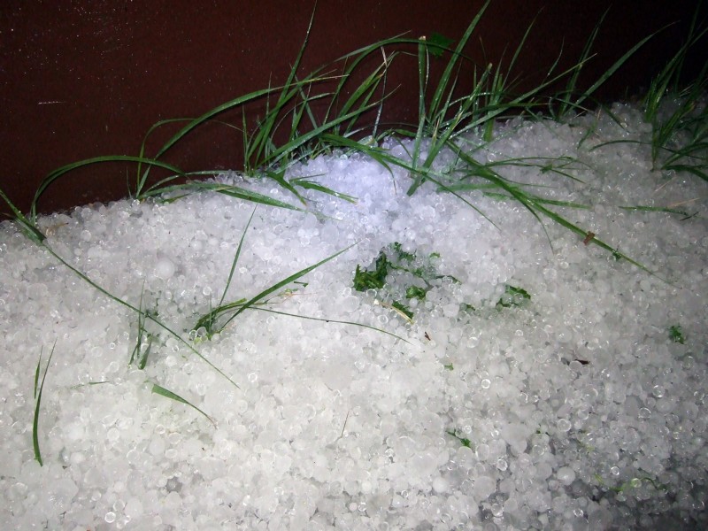 --Вечерняя гроза с подарками - рыбалка (фотоальбом)