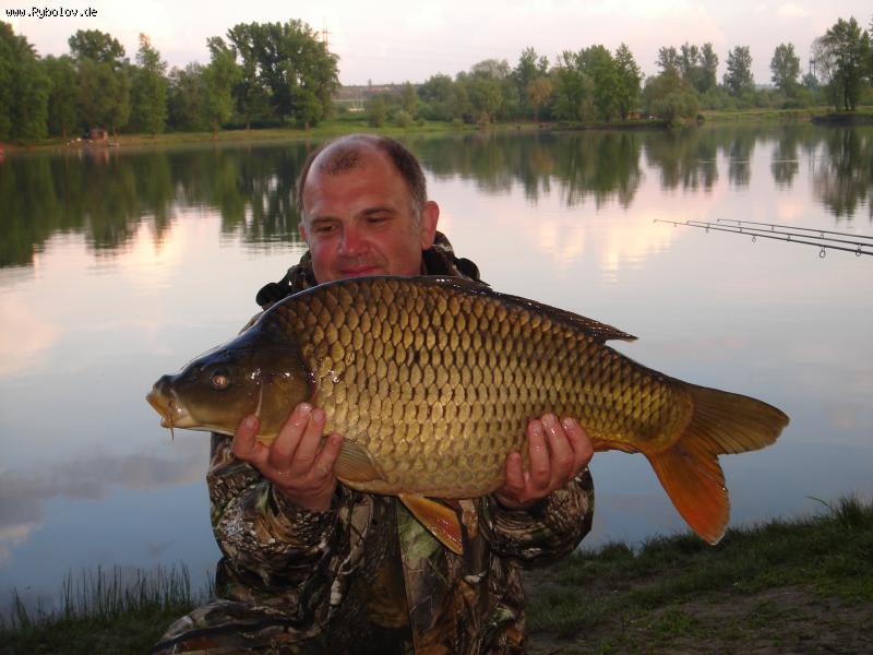 --������� � ����� - ������� (����������)