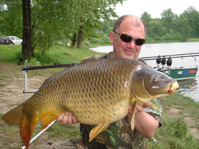 --17,8kg -  ()