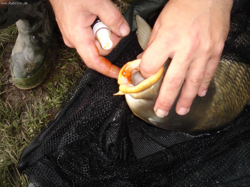 --������� � ����� - ������� (����������)