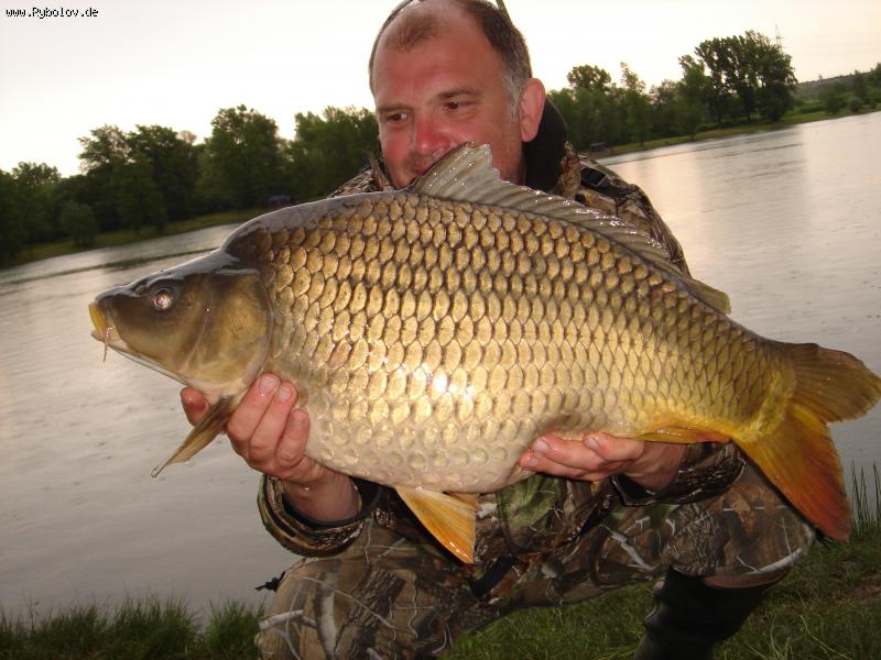 --������� � ����� - ������� (����������)