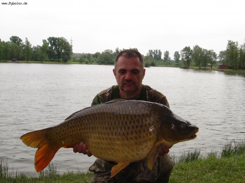 --Рыбалка в Чехии - рыбалка (фотоальбом)