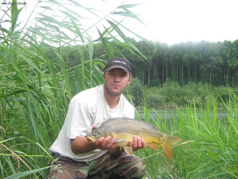 --���� 3 �� - ������� (����������)