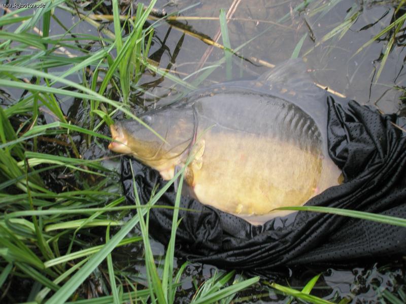 --������ - ������� (����������)