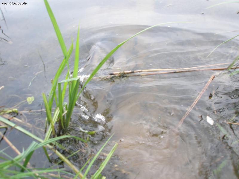 --� ����� - ������� (����������)