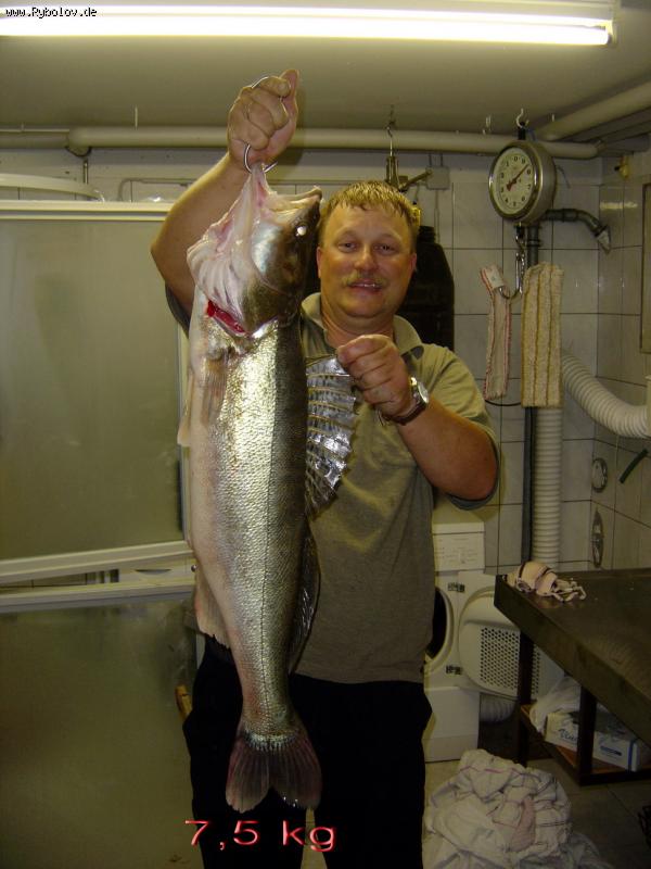 --Zander - ������� (����������)