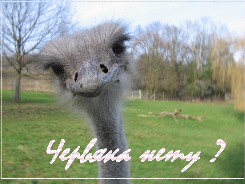 --Фотошутка однако... - рыбалка (фотоальбом)