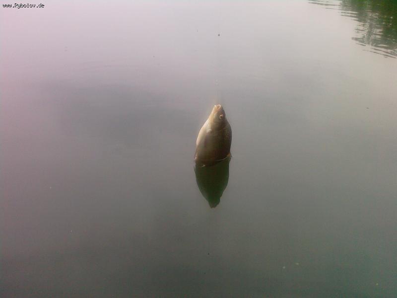 --... , ,   !!!!! -  ()