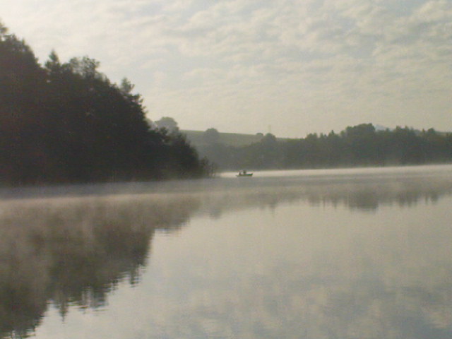 --���� �� abtsee - ������� (����������)