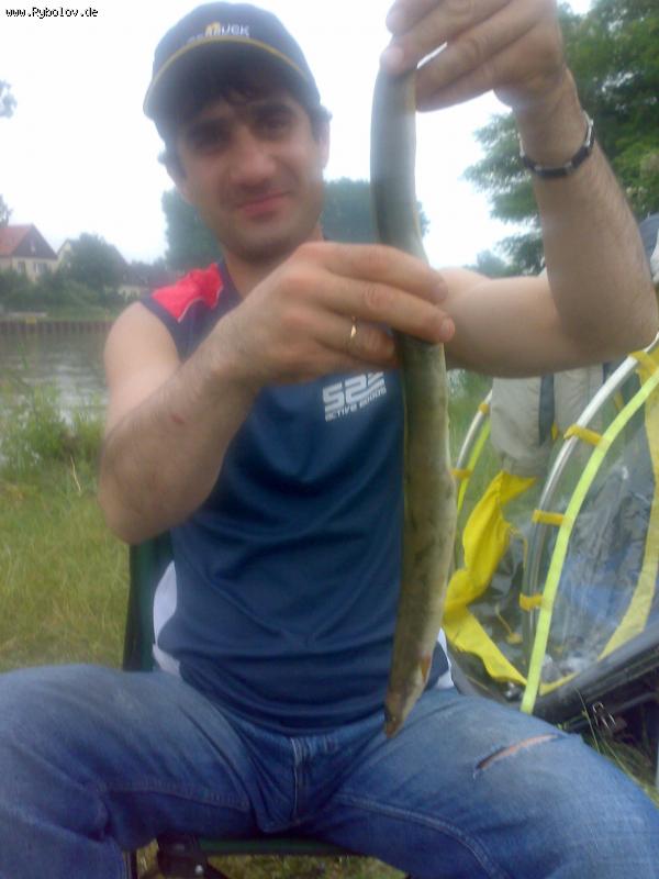 --����� �������� - ������� (����������)