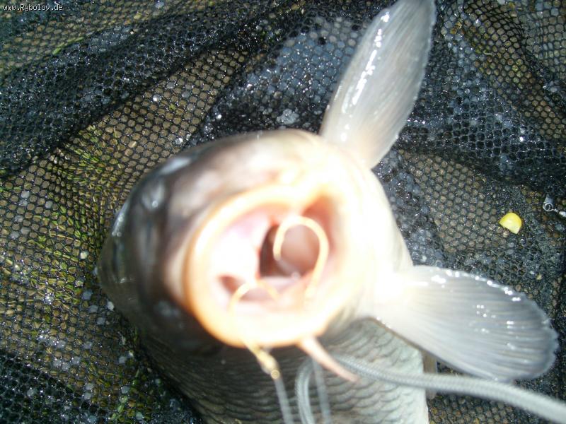 --������ ������ - ������� (����������)