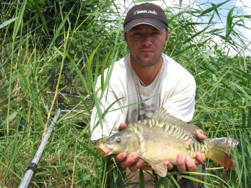 --���� ������� - ������� (����������)