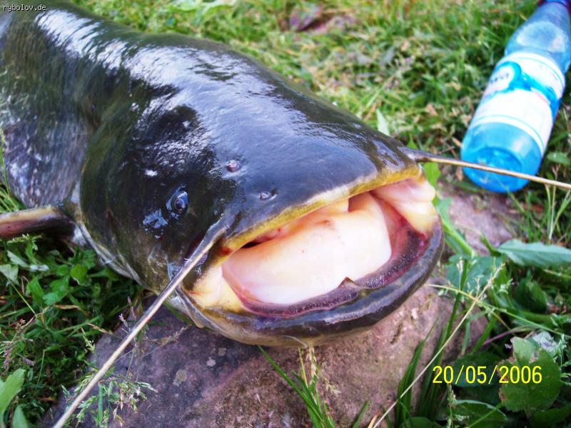 --��������! - ������� (����������)