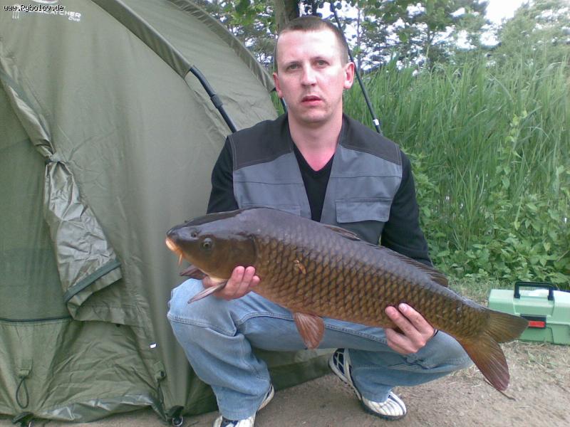 --���� 6.2�� - ������� (����������)