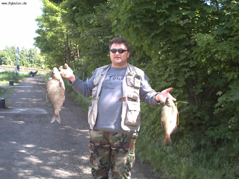 --������ ��� - ������� (����������)