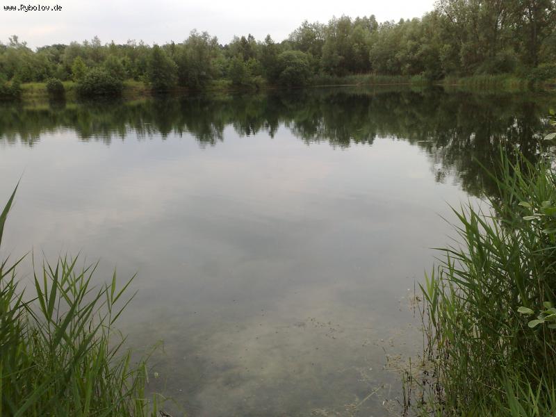 --mein Verein - ������� (����������)