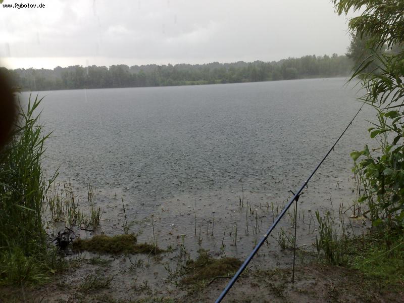 --�����... - ������� (����������)